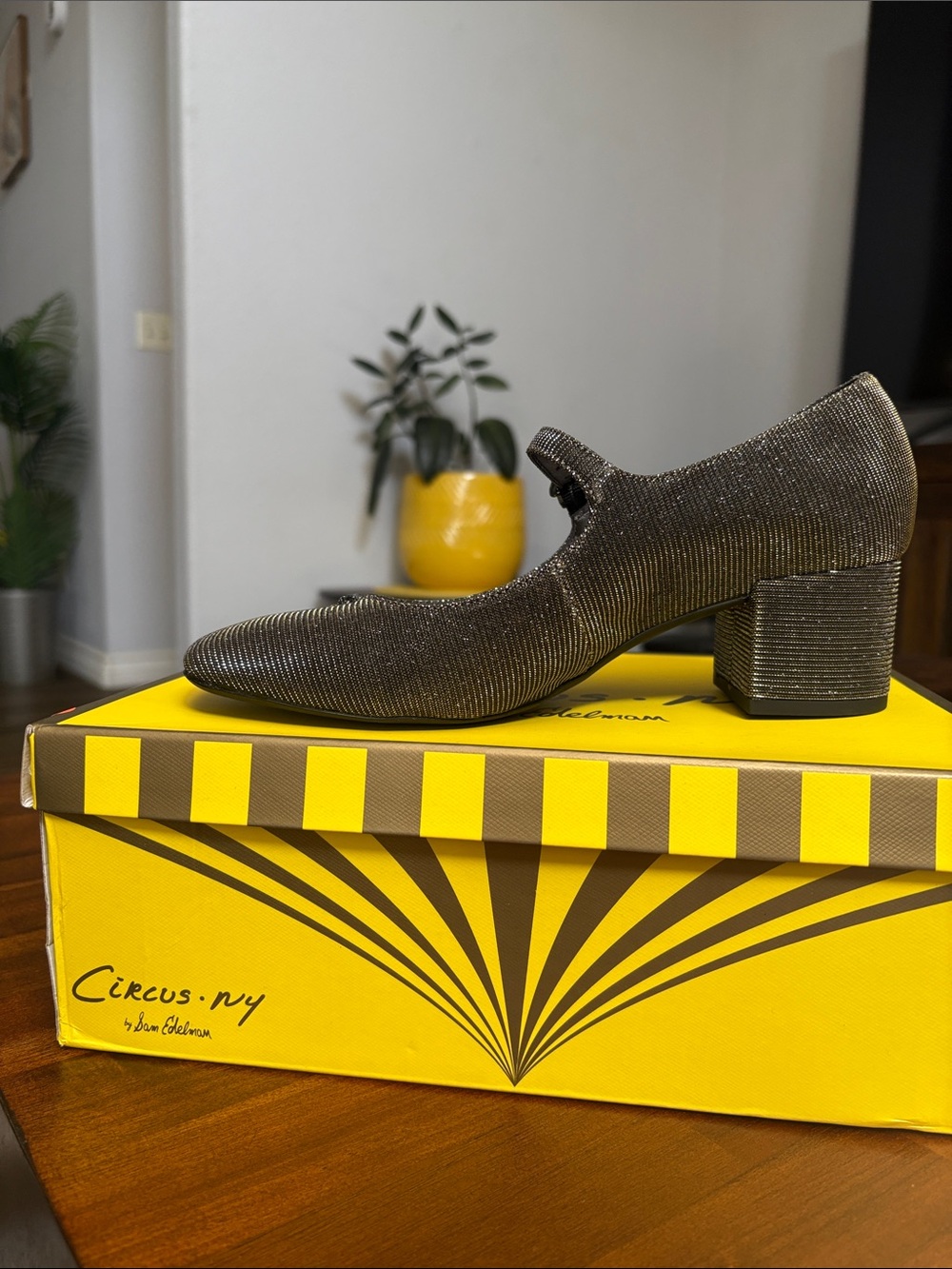 Circus by Sam Edelman Metallic Bronze Ribbed Mary Jane Block Heel